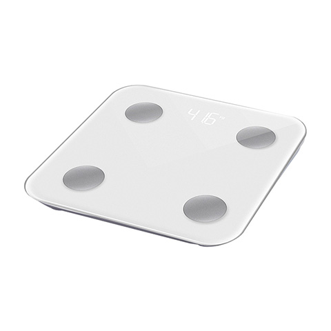 Body Fat Scale Glass Panel